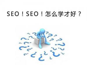 seo教程：seo技術(shù)不會因?yàn)椴欢廊? class=
