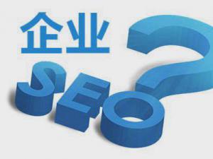 企業(yè)網(wǎng)站搜索優(yōu)化教程